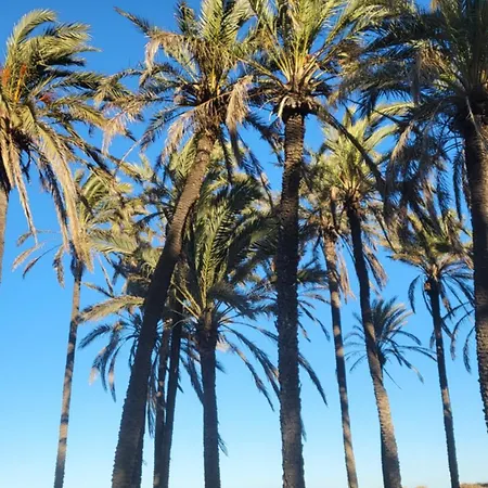 Appartement Mar Azul, Punta Prima,la Recoleta,4 Swimming Pools And Close To The Sea