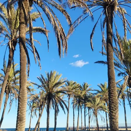 Mar Azul, Punta Prima,la Recoleta,4 Swimming Pools And Close To The Sea Appartement Torrevieja